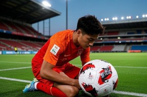 爱游戏-莱比锡红牛足球